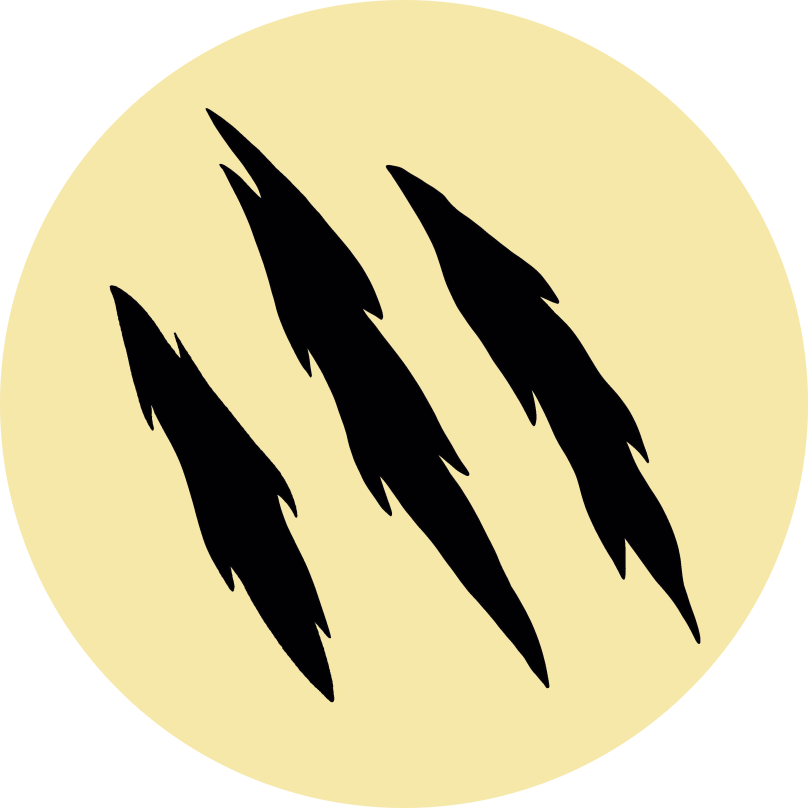 Felis